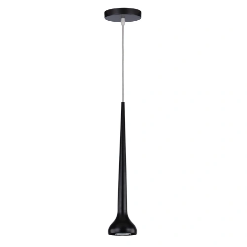 Подвесной светильник Arte Lamp SLANCIATO A4010SP-1BK Подвесной светильник Arte Lamp SLANCIATO A4010SP-1BK