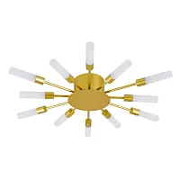 Потолочная люстра Arte Lamp MAPLE A1276PL-12GO