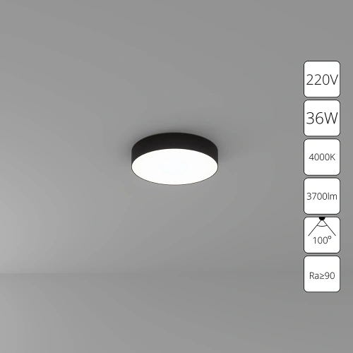 Потолочный светильник Arte Lamp FADO A6635PL-1BK Потолочный светильник Arte Lamp FADO A6635PL-1BK