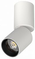 Светильник на штанге Lightstar Volta CCT 227006