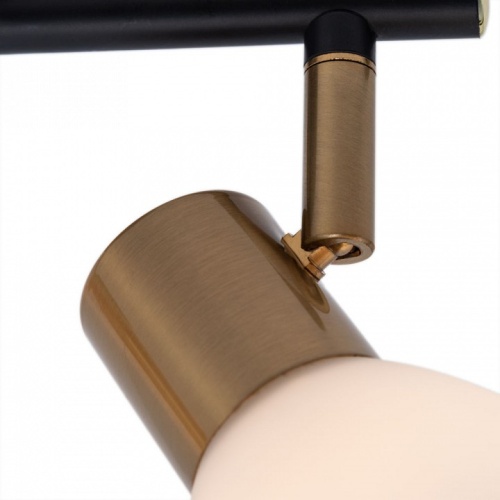 Спот Arte Lamp FALENA A3117PL-2BK фото 3 Спот Arte Lamp FALENA A3117PL-2BK фото 3
