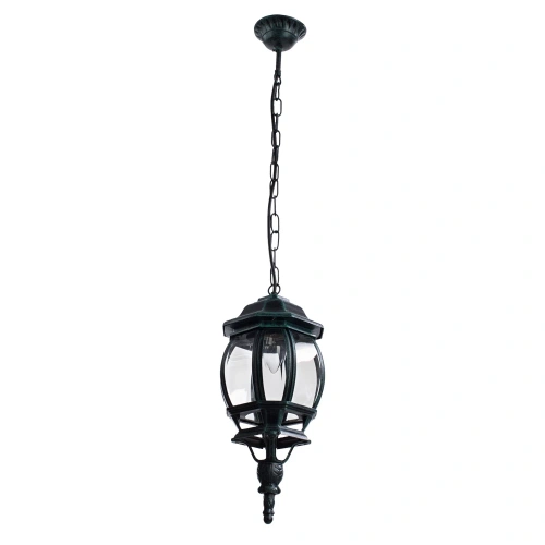 Уличный подвесной светильник Arte Lamp ATLANTA A1045SO-1BG Уличный подвесной светильник Arte Lamp ATLANTA A1045SO-1BG