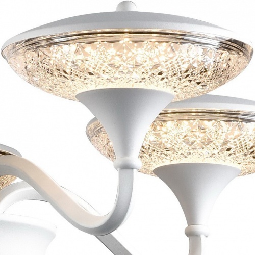 Подвесная люстра Arte Lamp BERN A5168LM-5WH фото 2 Подвесная люстра Arte Lamp BERN A5168LM-5WH фото 2