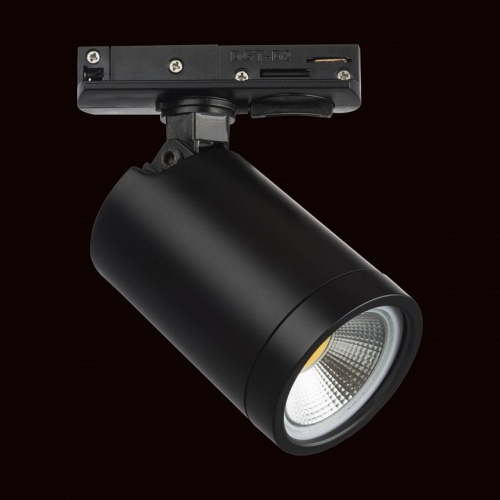 Светильник на штанге Lightstar Rullo 212937 фото 2