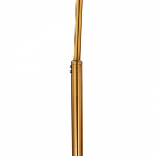 Торшер Arte Lamp PAOLO A5822PN-1PB фото 3 Торшер Arte Lamp PAOLO A5822PN-1PB фото 3