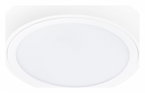 Накладной светильник Lightstar Urbano 216904 Накладной светильник Lightstar Urbano 216904