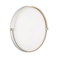 SONEX 7646/DLN PALE SN 189 Светильник пластик/белый/золотой LED 48Вт 3000/4000/6000К D390 IP43 CCT OLIDI WHITE