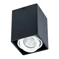 Точечный накладной светильник Arte Lamp PICTOR A5655PL-1BK