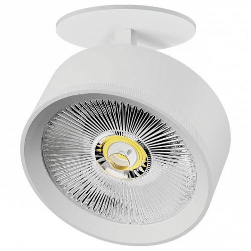 Спот Lightstar Alta Pro A5746RS