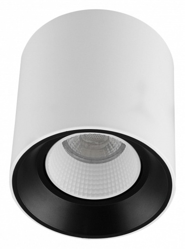Накладной светильник Denkirs Rodvig DK3090-WB+WH Накладной светильник Denkirs Rodvig DK3090-WB+WH