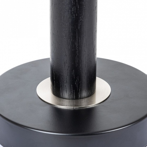 Декоративная настольная лампа Arte Lamp ROBERT A5029LT-1SS фото 4