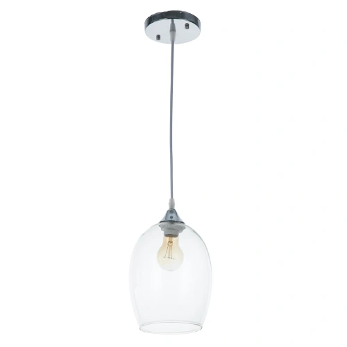 Подвесной светильник Arte Lamp PROPUS A4344SP-1CC