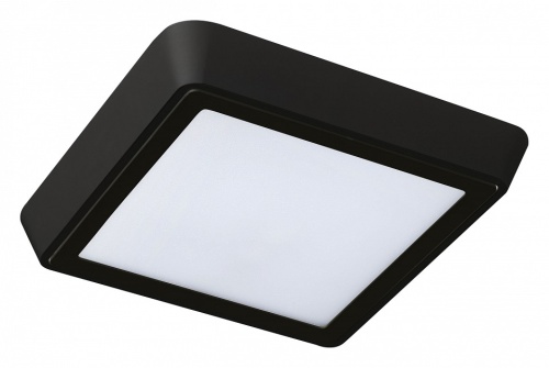 Накладной светильник Lightstar Urbano 216874 Накладной светильник Lightstar Urbano 216874