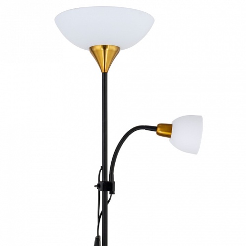 Торшер с подсветкой Arte Lamp Duetto A9569PN-2BK фото 2