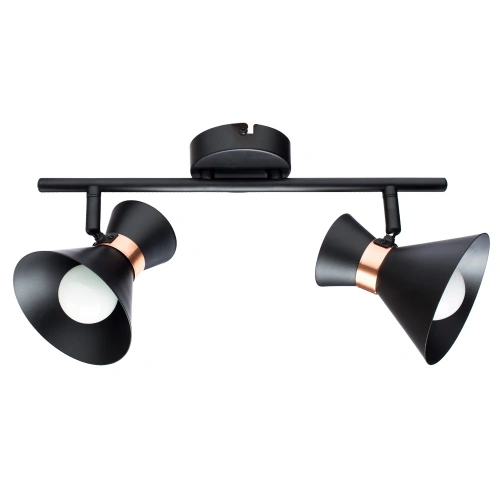Спот Arte Lamp BALTIMORE A1406AP-2BK Спот Arte Lamp BALTIMORE A1406AP-2BK