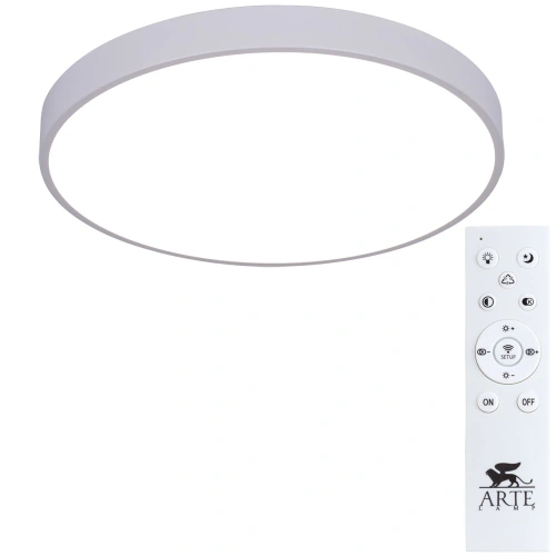 Потолочный светильник Arte Lamp ARENA A2670PL-1WH Потолочный светильник Arte Lamp ARENA A2670PL-1WH