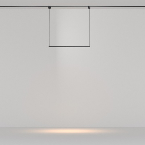 Подвесной светильник Maytoni Technical Points TR169-1-26W3K-M-B фото 2 Подвесной светильник Maytoni Technical Points TR169-1-26W3K-M-B фото 2