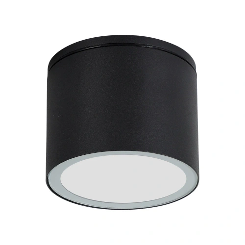 Уличный потолочный светильник Arte Lamp PIAUTOS A1913PF-1BK Уличный потолочный светильник Arte Lamp PIAUTOS A1913PF-1BK