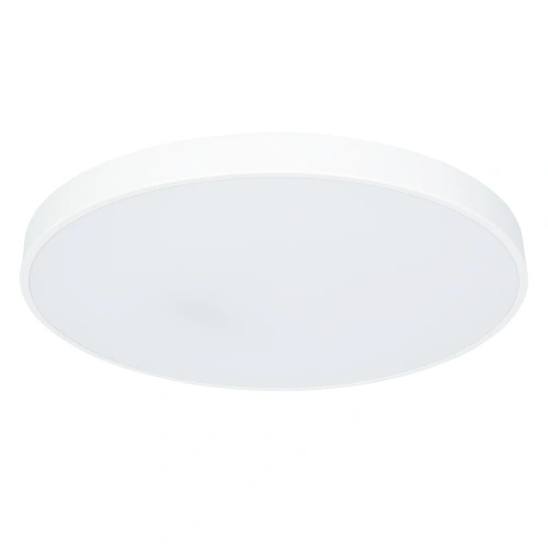 Потолочный светильник Arte Lamp ARENA A2671PL-1WH Потолочный светильник Arte Lamp ARENA A2671PL-1WH