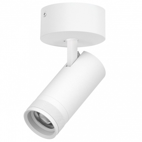 Спот Lightstar Canno Pro C4206SO фото 2