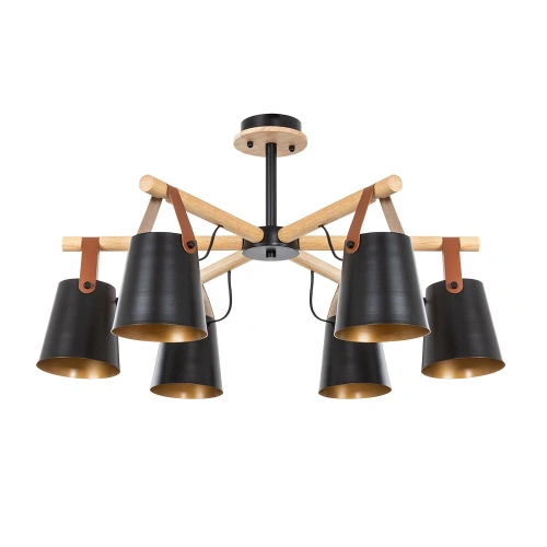 Потолочная люстра Arte Lamp THOMAS A7032PL-6BK Потолочная люстра Arte Lamp THOMAS A7032PL-6BK
