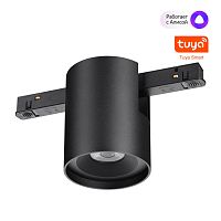 NOVOTECH 359517 SHINO NT24 146 черный Трековый низковольт. св-к диммир. со сменой цв.температуры, пульт ДУ/Tuya Smart Life IP20 LED 10W 48V 3000-6000K FLUM