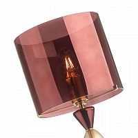 ODEON LIGHT EXCLUSIVE 4868/1S STANDING ODL_EX22 157 бордовый/стекло Абажур для высокой лампы TOWER