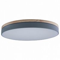 Накладной светильник Loft it Axel 10001/36 Grey