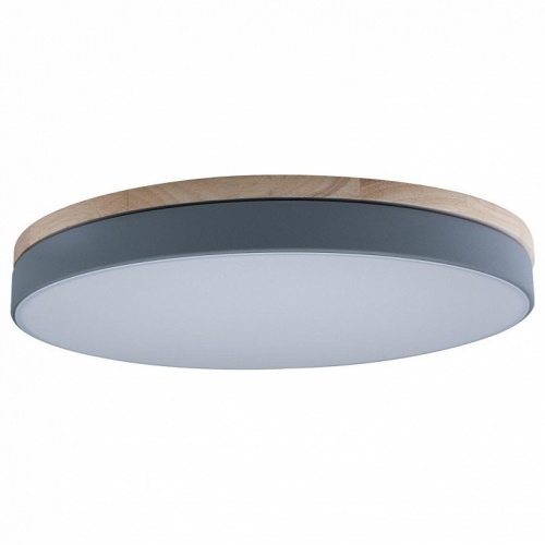 Накладной светильник Loft it Axel 10001/36 Grey Накладной светильник Loft it Axel 10001/36 Grey