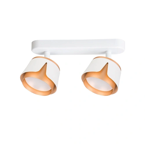 Спот Arte Lamp AMAKS A8028PL-2WH Спот Arte Lamp AMAKS A8028PL-2WH