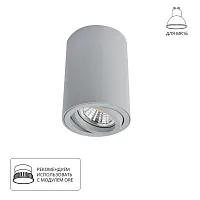 Точечный накладной светильник Arte Lamp SENTRY A1560PL-1GY
