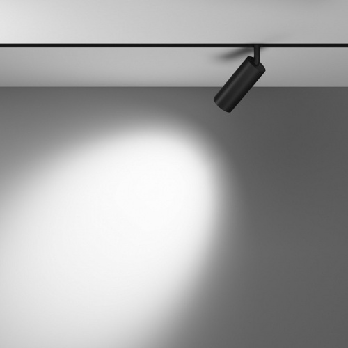 Светильник на штанге Maytoni Technical Focus LED TR032-2-12W3K-M-B фото 4