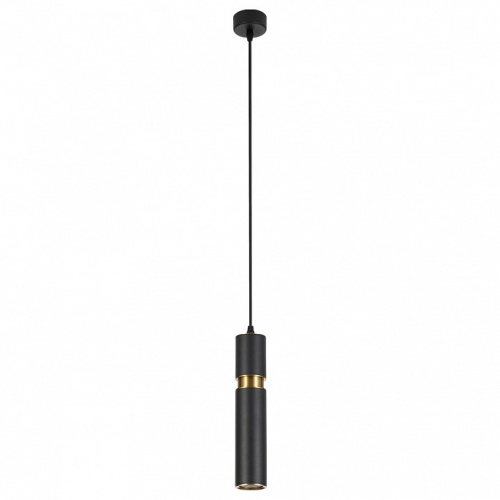 Точечный подвесной светильник ARTE LAMP RAN A3145SP-1BK фото 2
