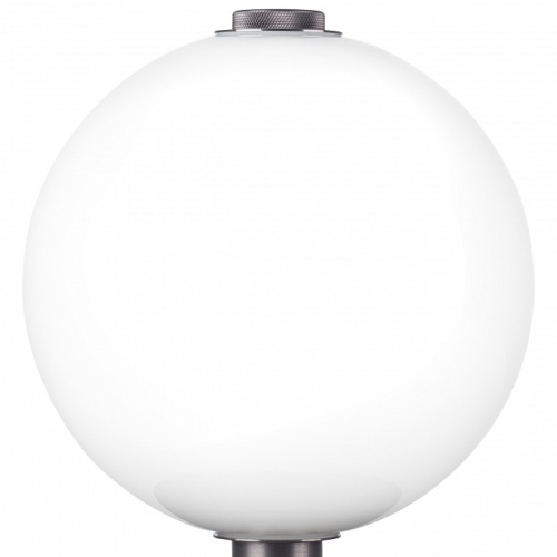 Настольная лампа декоративная Lightstar Colore 805906 фото 5 Настольная лампа декоративная Lightstar Colore 805906 фото 5