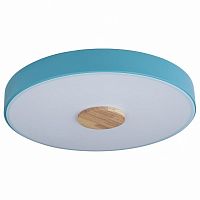 Накладной светильник Loft it Axel 2 10003/24 Blue
