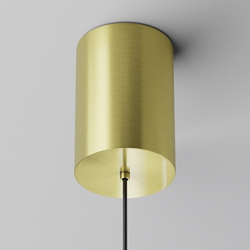 Подвесной светильник Maytoni Technical Plato P076PL-L12W3K-BS фото 7 Подвесной светильник Maytoni Technical Plato P076PL-L12W3K-BS фото 7