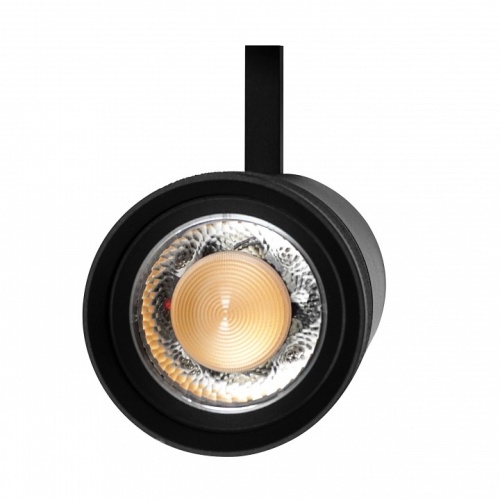 Светильник на штанге Lightstar Canno Pro 304307 фото 2