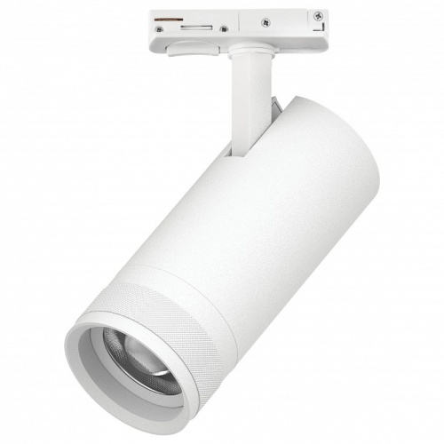 Светильник на штанге Lightstar Canno Pro C4206SS Светильник на штанге Lightstar Canno Pro C4206SS