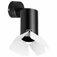 Спот Lightstar Rullo RB437436