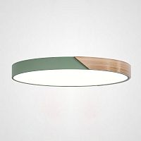 Потолочный светильник CLIP Green D50