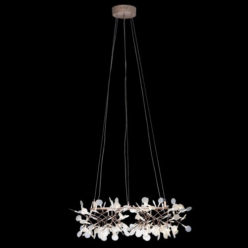 Подвесная люстра Mi Heracleum The Big O 160 Copper фото 9 Подвесная люстра Mi Heracleum The Big O 160 Copper фото 9