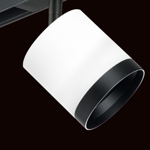 Светильник на штанге Lightstar Rullo PRO34863487 фото 4