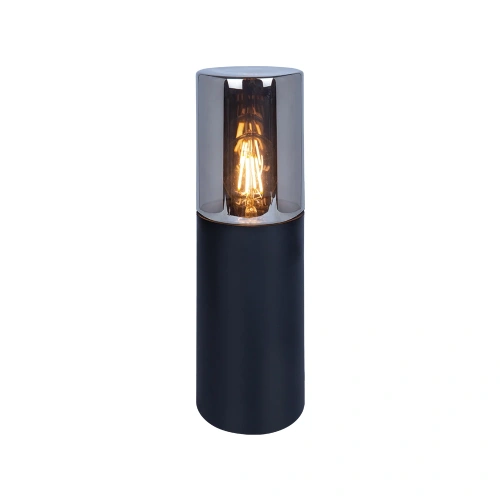Ландшафтный светильник Arte Lamp WAZN A6218FN-1BK Ландшафтный светильник Arte Lamp WAZN A6218FN-1BK