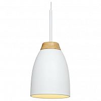 Подвесной светильник Loft it Watchman LOFT4402A-WH