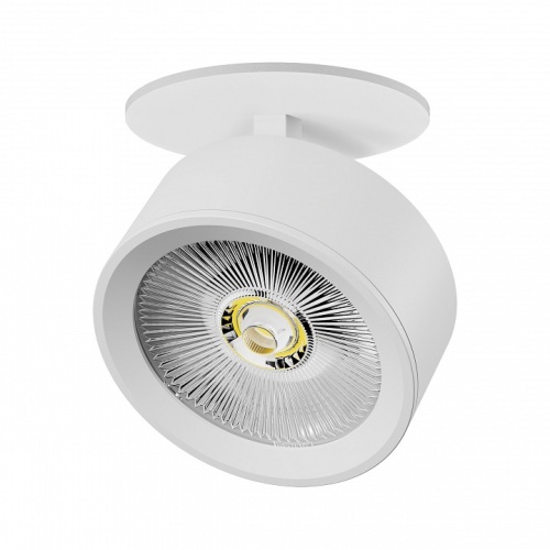 Спот Lightstar Alta Pro A5646RS фото 2