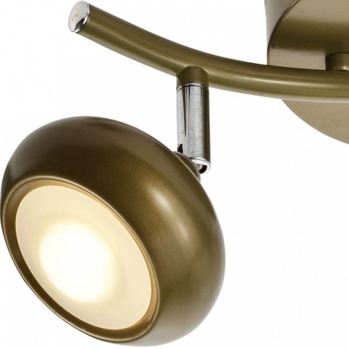 Спот TopLight Carissa TL1244Y-02SG фото 3