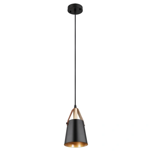 Подвесной светильник Arte Lamp THOMAS A7032SP-1BK Подвесной светильник Arte Lamp THOMAS A7032SP-1BK