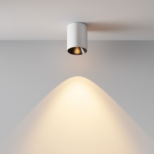 Накладной светильник Maytoni Technical Alfa LED C064CL-8W2.7K-RD-WB фото 7 Накладной светильник Maytoni Technical Alfa LED C064CL-8W2.7K-RD-WB фото 7