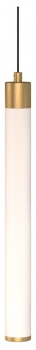 Подвесной светильник Maytoni Technical Ray P022PL-L10MG3K
