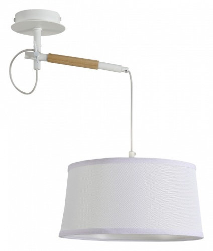 Светильник на штанге F-promo Eureka 3005-1P Светильник на штанге F-promo Eureka 3005-1P